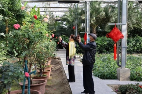 博樂(lè)市組織退休干部開(kāi)展“感受變化，金秋送參觀”考察活動(dòng)